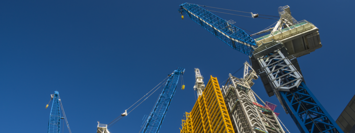 crane